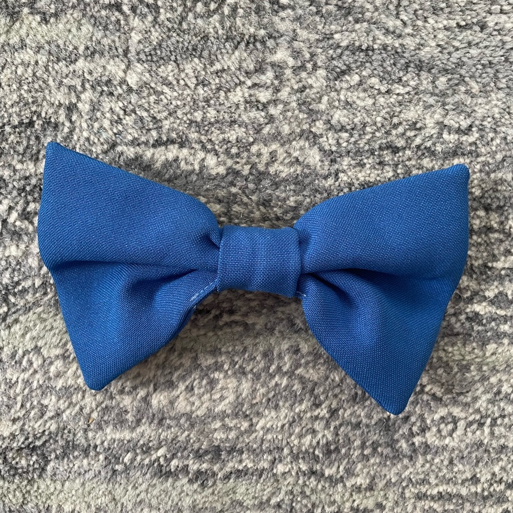Royal Blue American Apparel Bow
